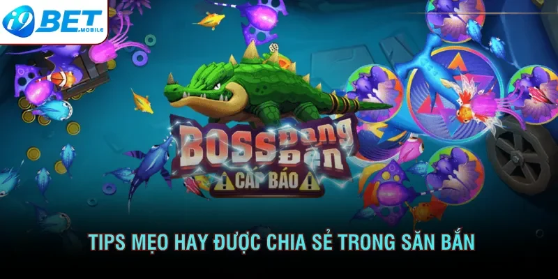 Chiến thuật bất bại nên tham khảo khi săn bắn cá 3D